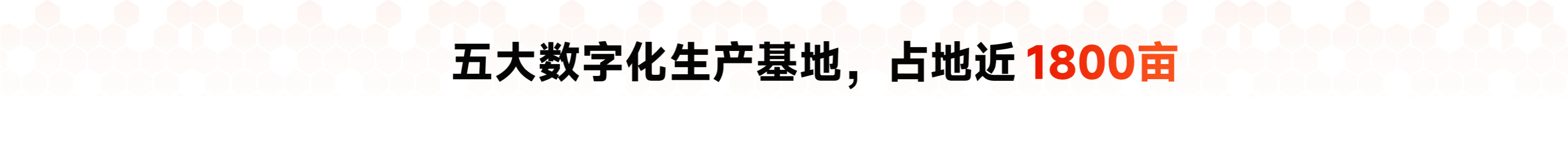 生产基地