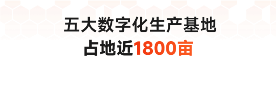 生产基地