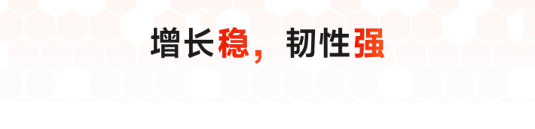 嘉立创规模